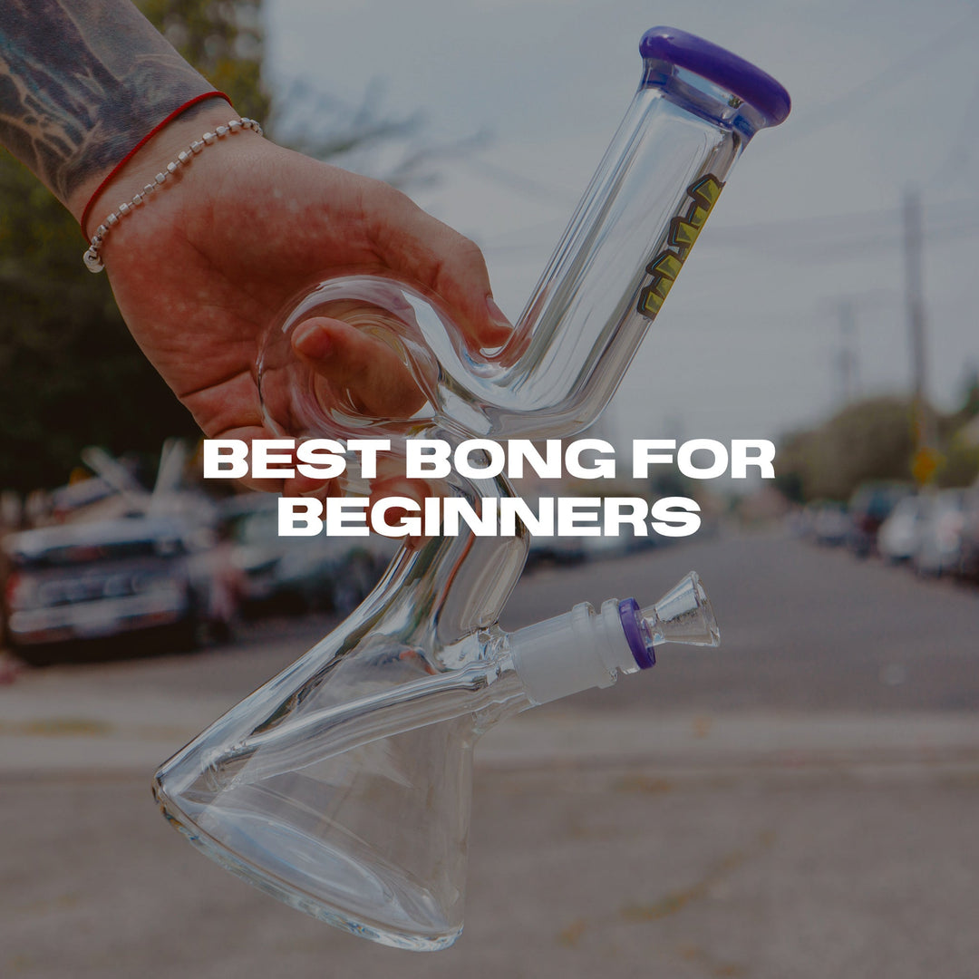 Best Bongs for Beginners: What to Buy for Your First Piece