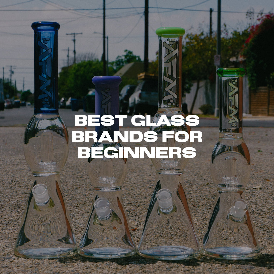 Best Glass Bong Brands for Beginners