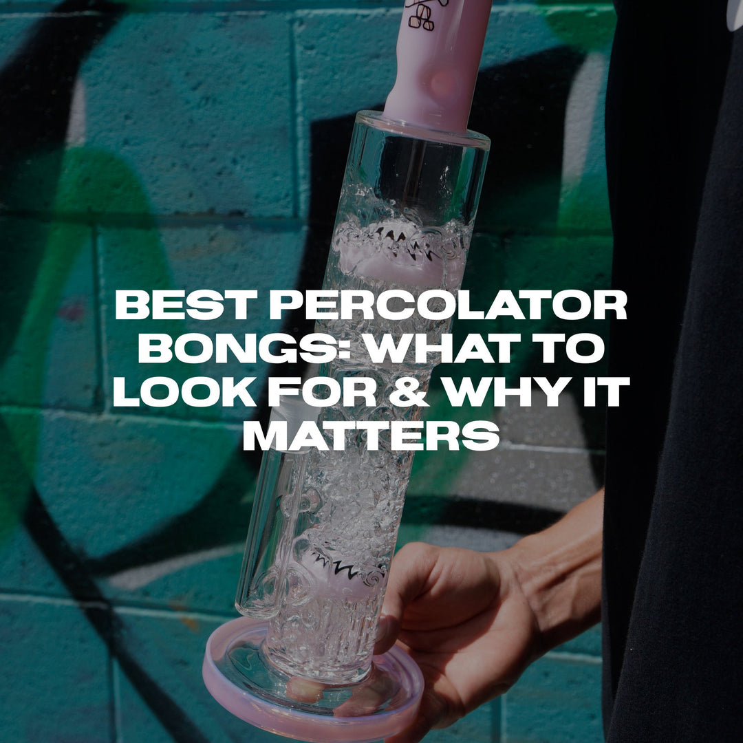 Best Percolator Bongs: What to Look for and Why It Matters