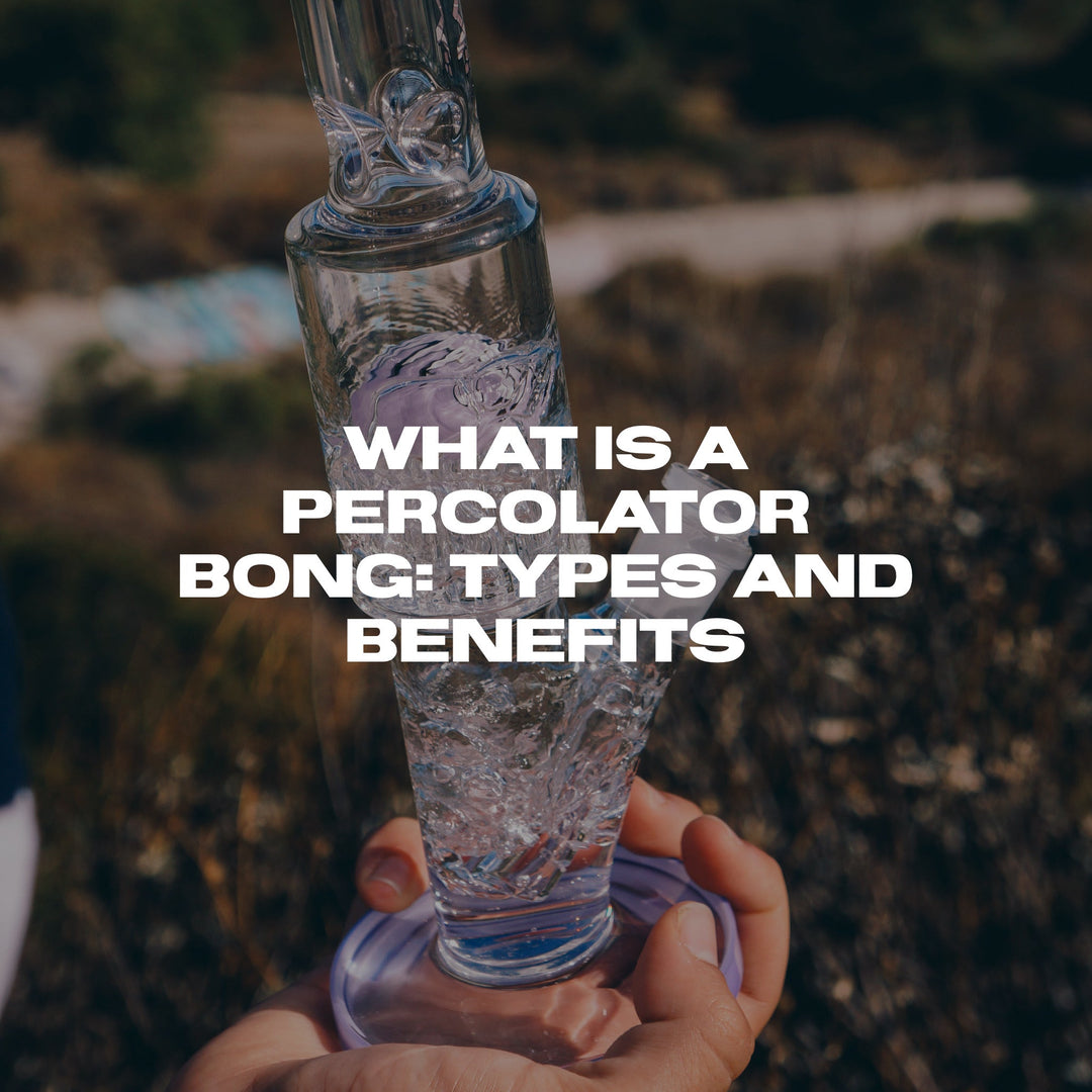 What Is a Percolator Bong? Types, Benefits, and How They Work