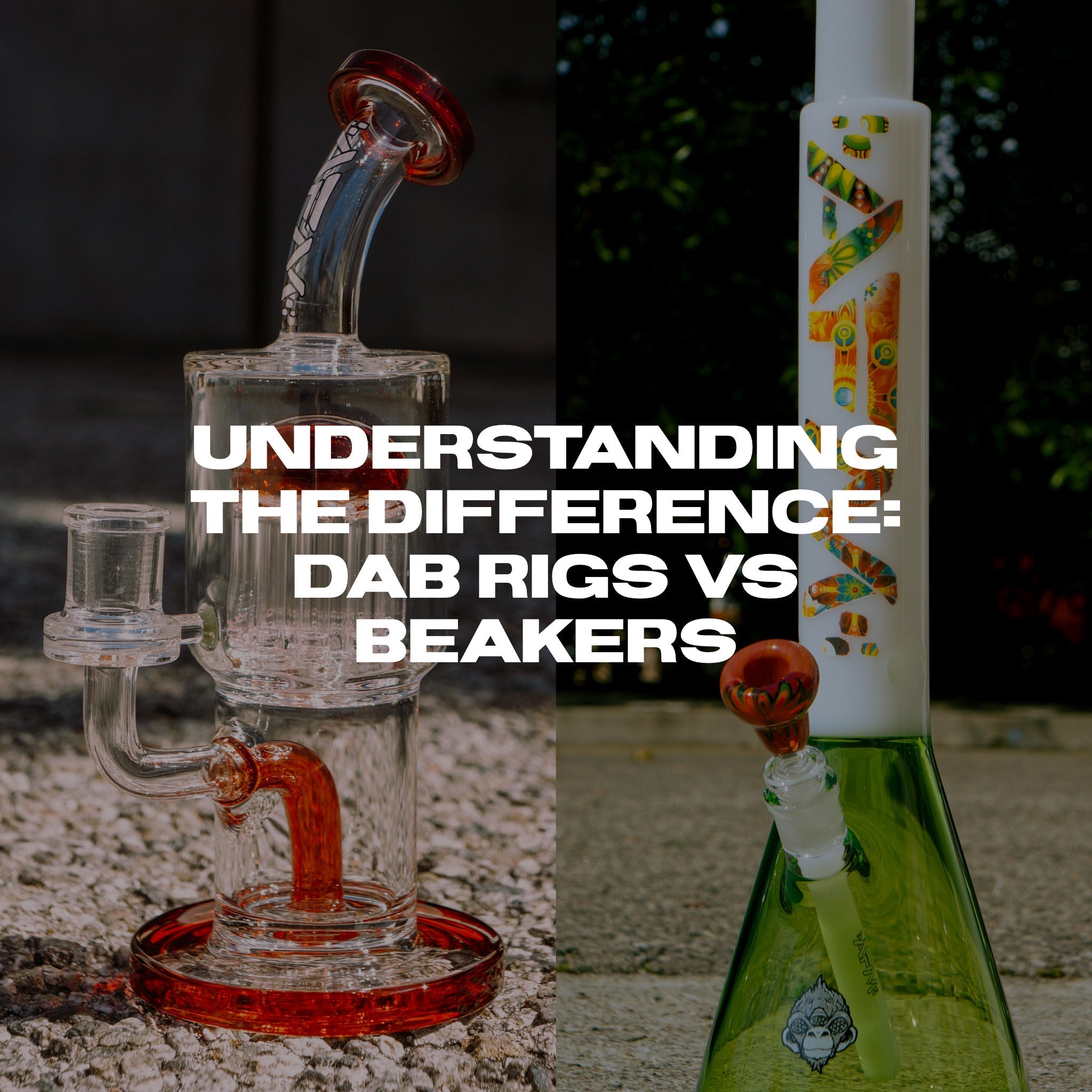 Bong vs Dab Rig: Complete Comparison (Which Is Right for You?) – AFM Smoke