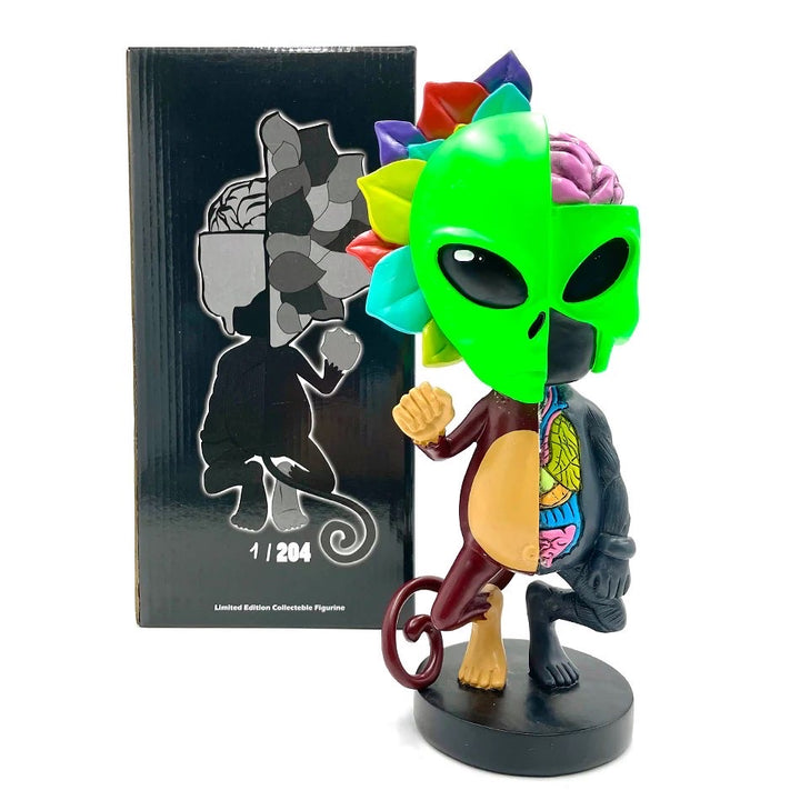 Limited Edition AFM Skeletal Figure - 12" | AFM Smoke