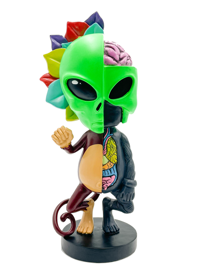Limited Edition AFM Skeletal Figure - 12" | AFM Smoke