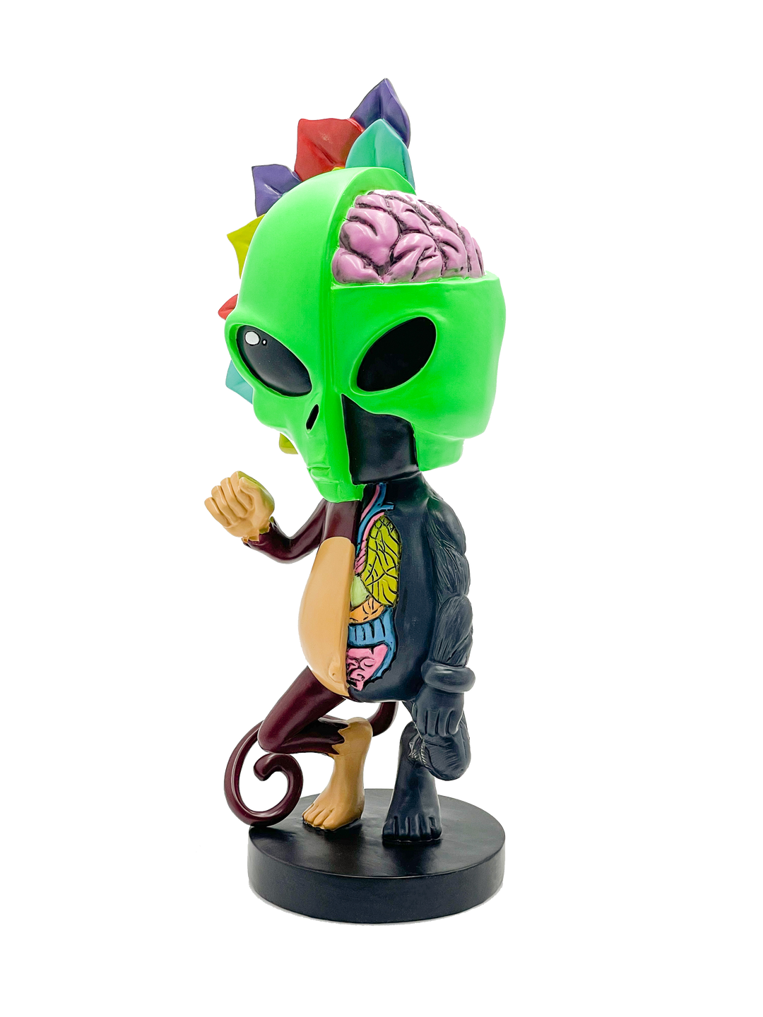 Limited Edition AFM Skeletal Figure - 12" | AFM Smoke