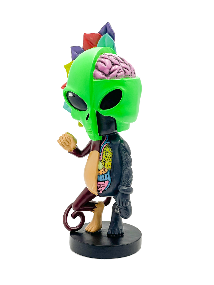 Limited Edition AFM Skeletal Figure - 12" | AFM Smoke